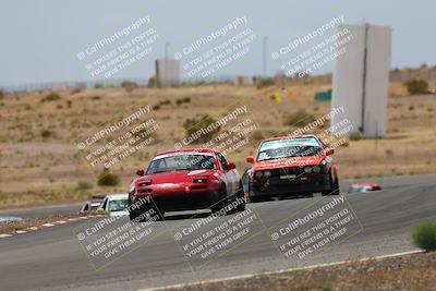 media/May-03-2025-Lucky Dog Racing (Sat) [[206de64b9d]]/Turn 6 (150pm-230pm)/